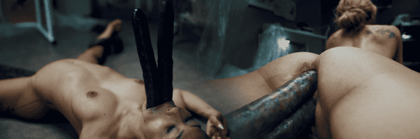 Hentaied147 VeroLeal